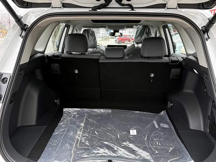 Toyota RAV4 2026 2026款 2.0L 两驱豪华版