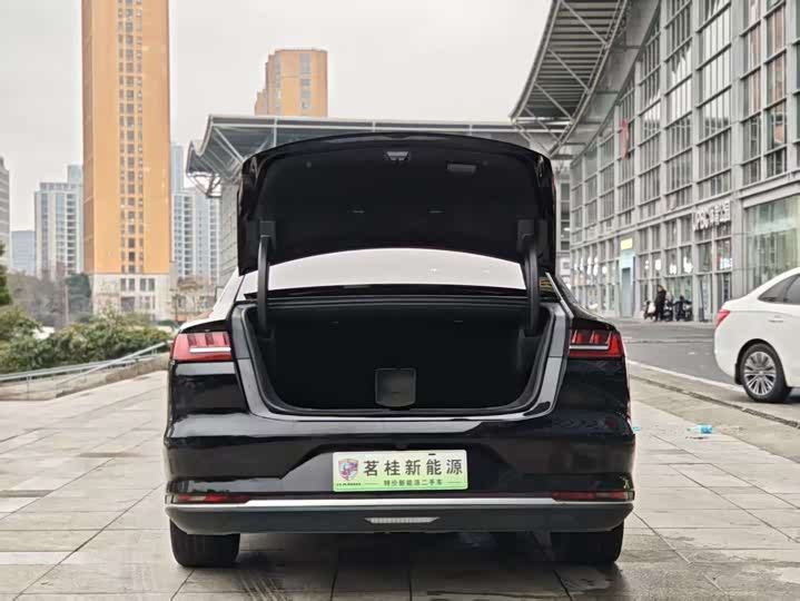 BYD E9 2021 2021款 商务版