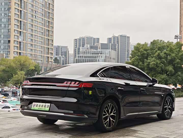 BYD E9 2021 2021款 商务版