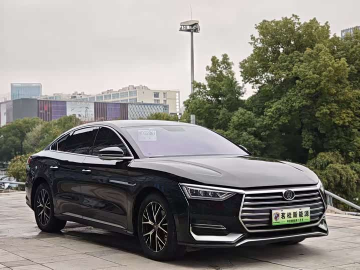 BYD E9 2021 2021款 商务版