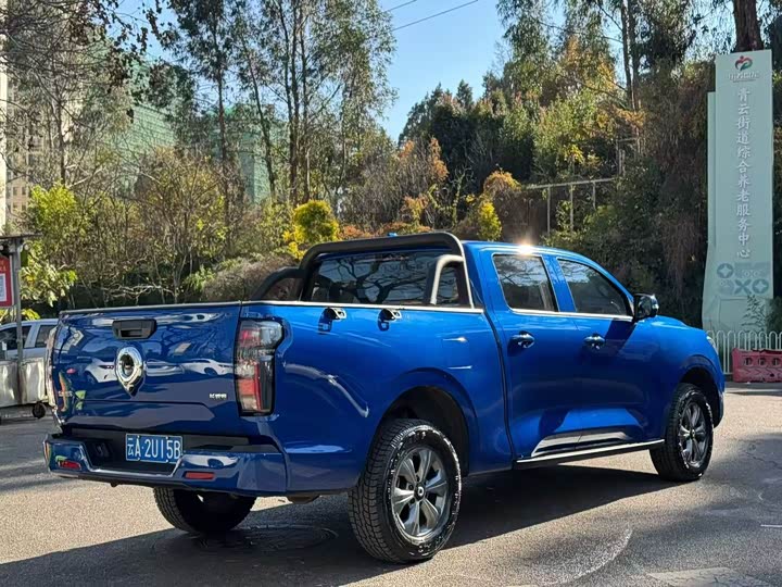 Great Wall Pao 2024 2024款 2.4T商用版自动柴油两驱精英型