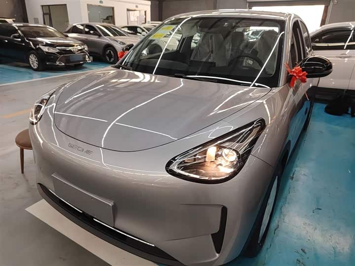 Geely Galaxy Geome 2026 2026款 310km 青春版