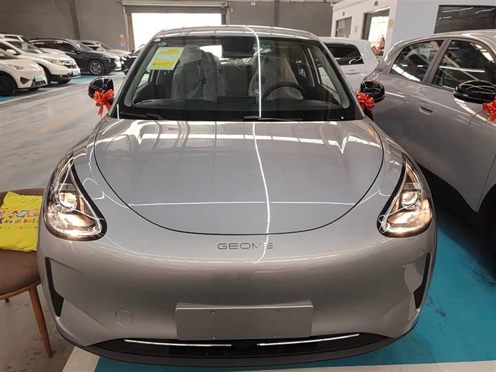 Geely Galaxy Geome 2026 2026款 310km 青春版