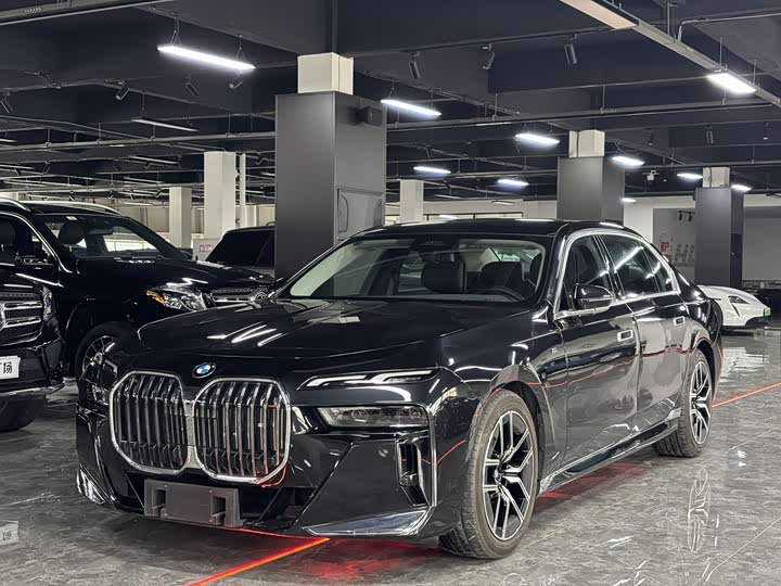 BMW 7 Series 2023 2023款 735Li M运动套装