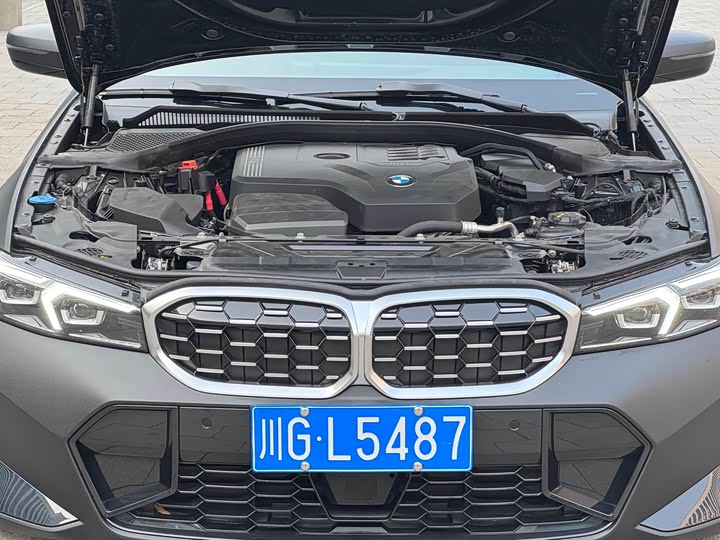 BMW 3 Series 2025 2025款 325Li M运动套装