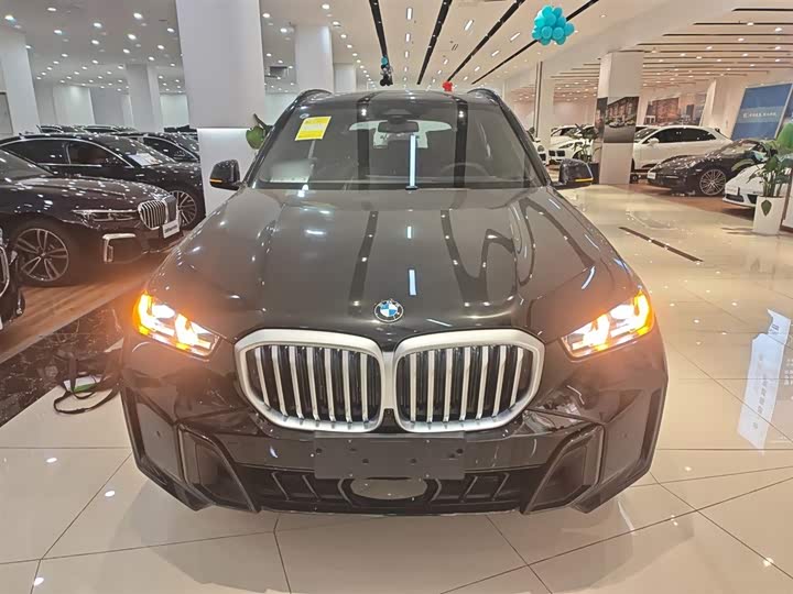 BMW X5 2025 2025款 xDrive 40Li M运动曜夜套装