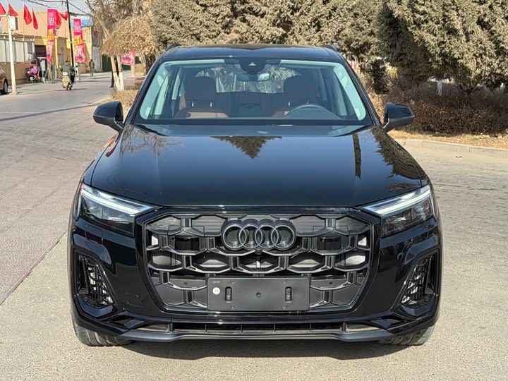 Audi Q7 2025 2025款 55 TFSI quattro S line黑武士型