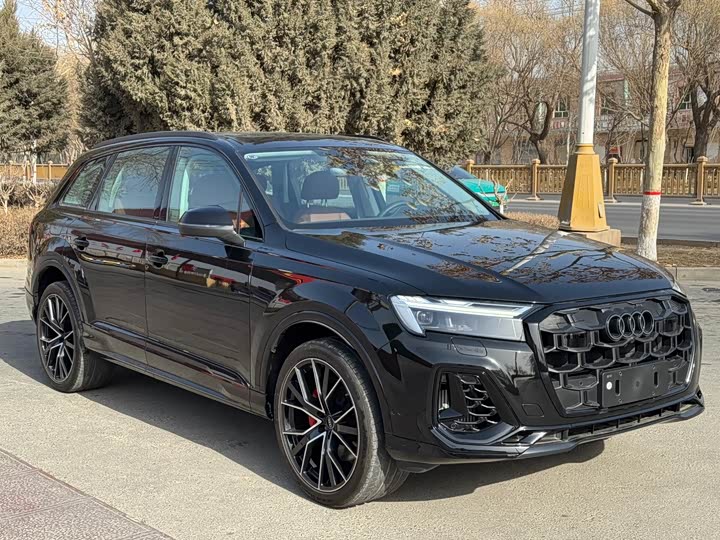 Audi Q7 2025 2025款 55 TFSI quattro S line黑武士型