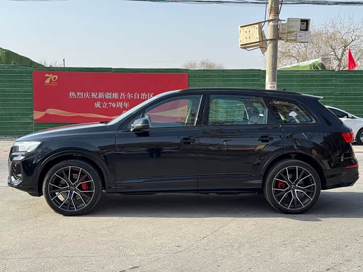 Audi Q7 2025 2025款 55 TFSI quattro S line黑武士型