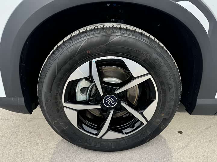 BYD Yuan Up 2025 2025款 智驾版 401KM 领先型