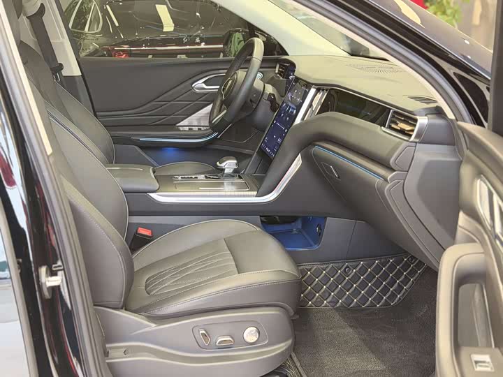 Hongqi HS7 Hybrid 2024 2024款 2.0T PHEV 四驱旗畅版 6座