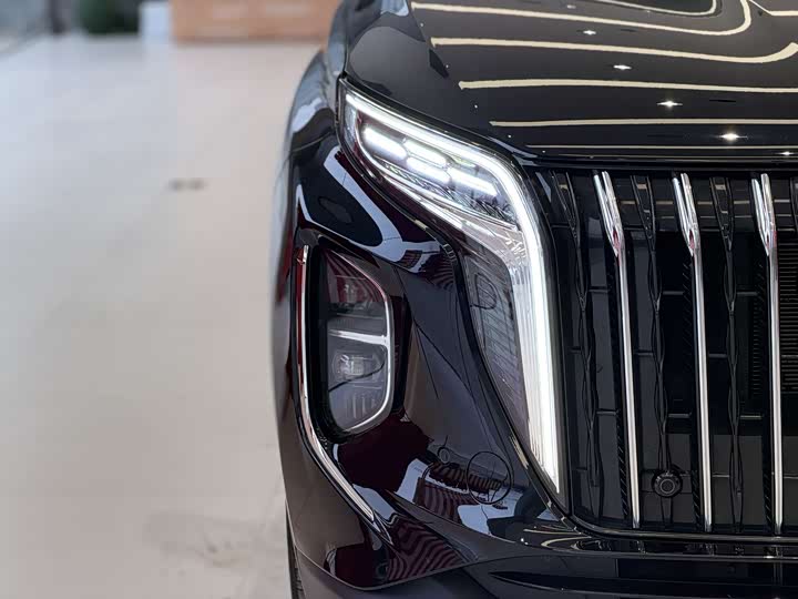 Hongqi HS7 Hybrid 2024 2024款 2.0T PHEV 四驱旗畅版 6座