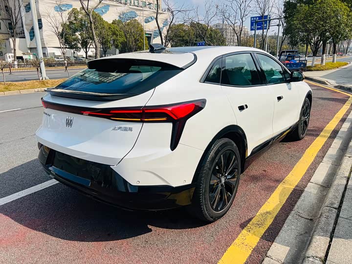 Buick Electra E4 2023 2023款 GS版