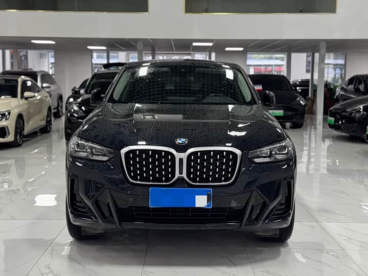 BMW X4 2022 2022款 xDrive 30i M运动套装