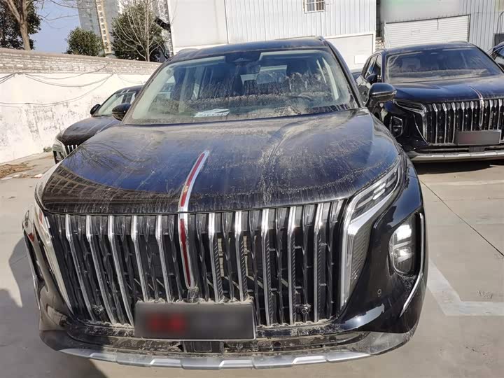 Hongqi HS7 Hybrid 2024 2024款 2.0T PHEV 四驱旗畅版 6座