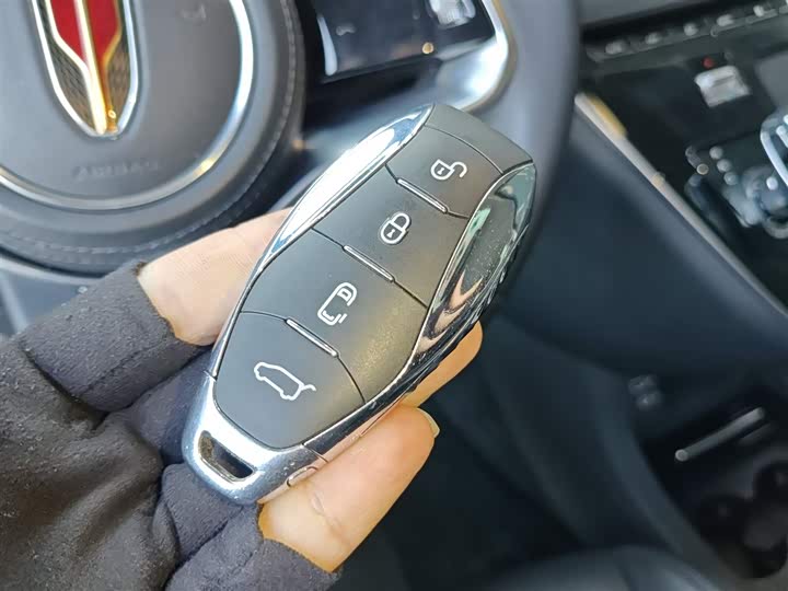 Hongqi HQ9 Hybrid 2024 2024款 2.0T 四驱商务版