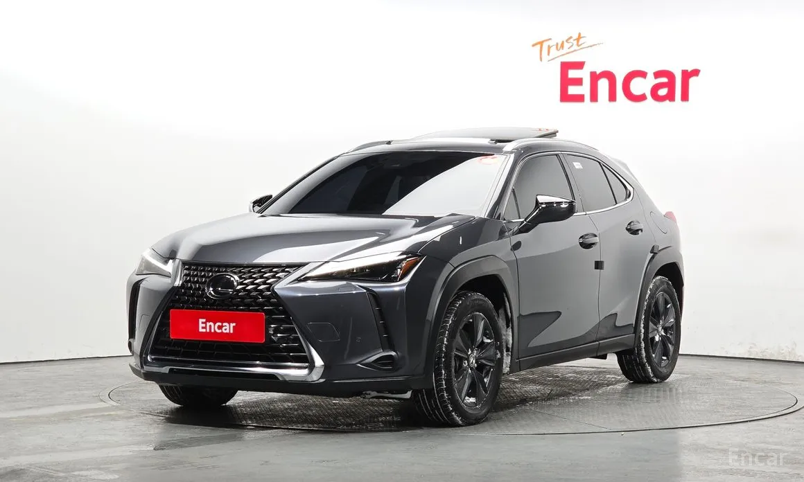 Lexus UX 2019 2.0 2WD