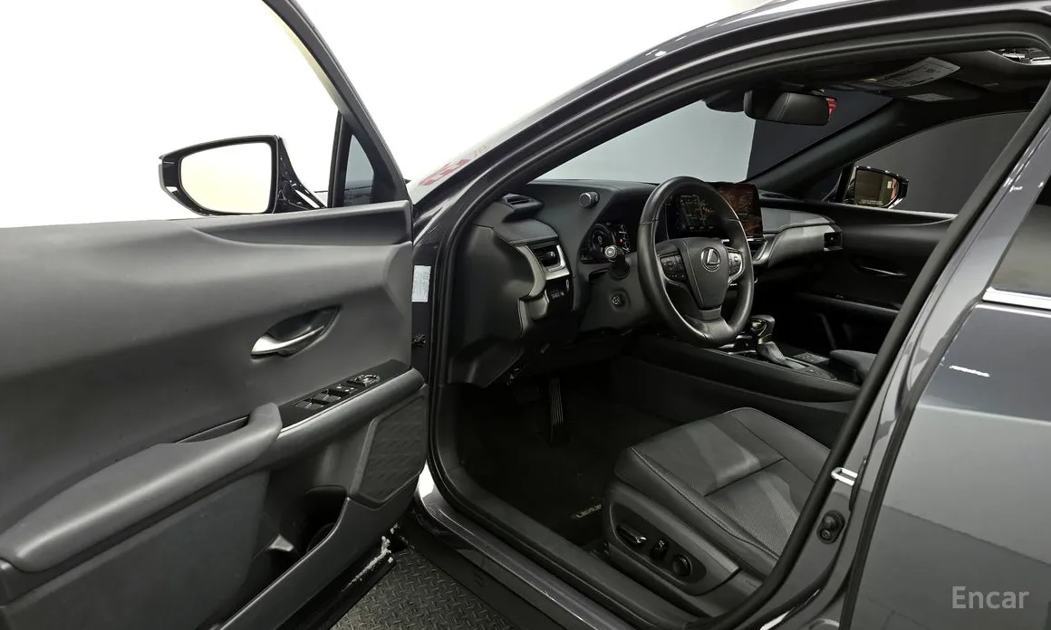 Lexus UX 2019 2.0 2WD