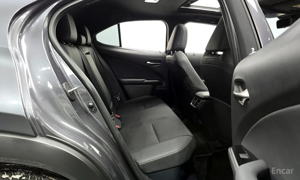 Lexus UX 2019 2.0 2WD