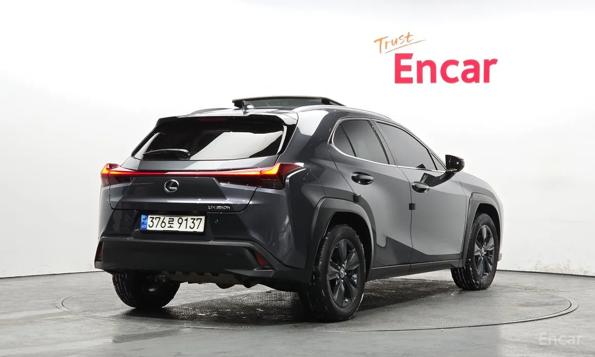 Lexus UX 2019 2.0 2WD