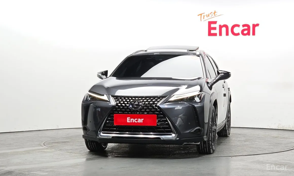 Lexus UX 2019 2.0 2WD