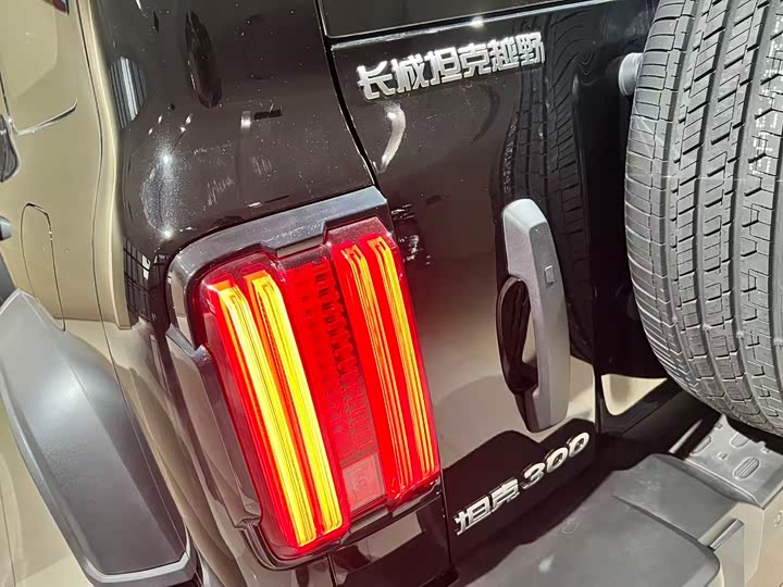 Tank 300 2025 2025款 2.0T 汽油征服者