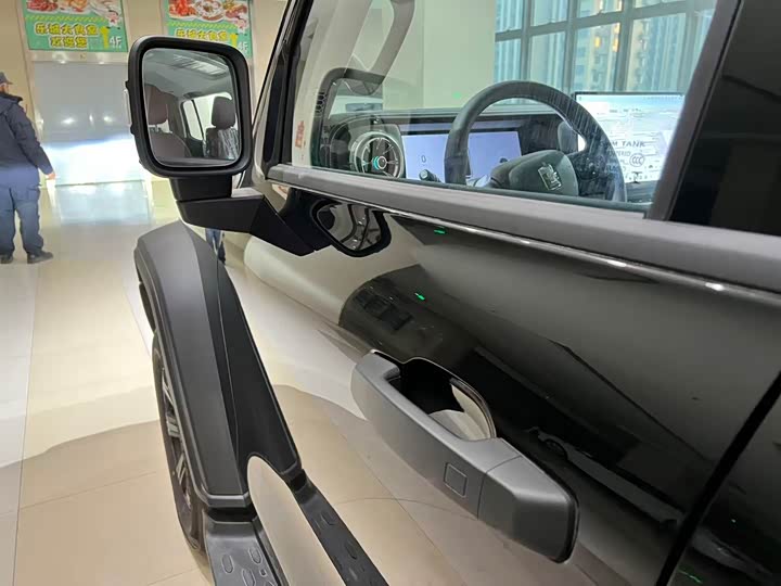 Tank 300 2025 2025款 2.0T 汽油征服者