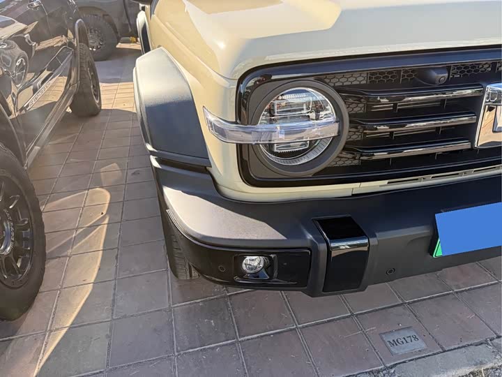 Tank 300 Hybrid 2025 2025款 Hi4-T 37.1kWh