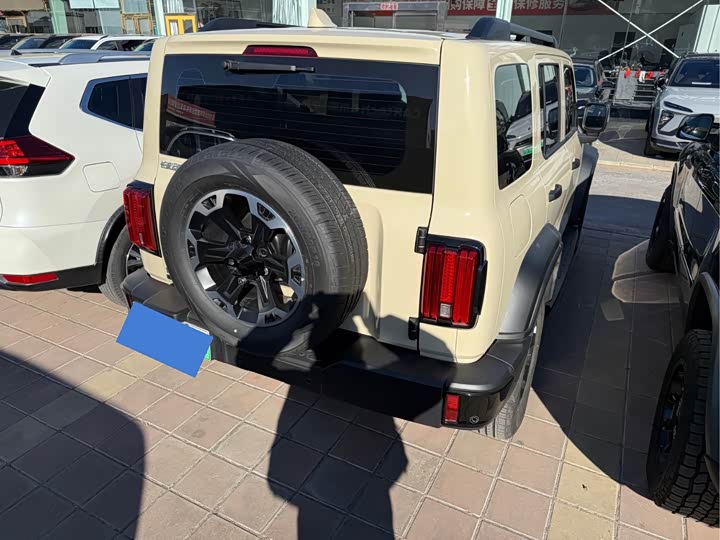 Tank 300 Hybrid 2025 2025款 Hi4-T 37.1kWh