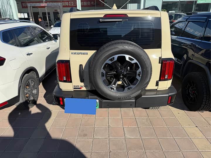 Tank 300 Hybrid 2025 2025款 Hi4-T 37.1kWh