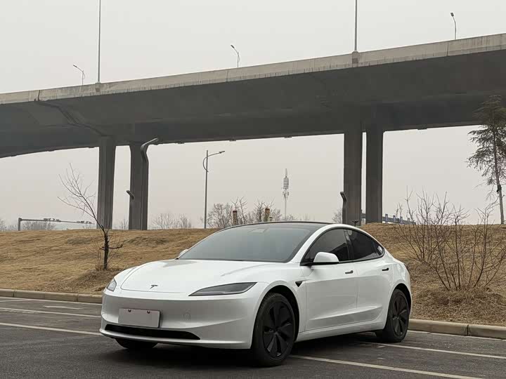 Tesla Model 3 2025 2025款 长续航后轮驱动版