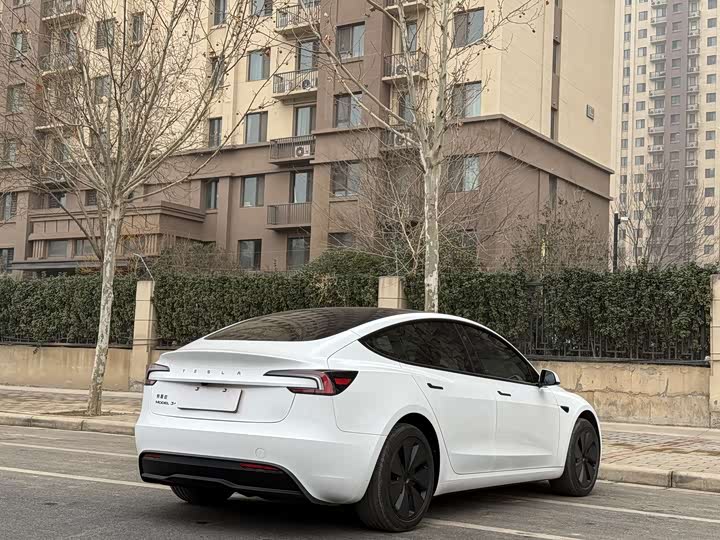 Tesla Model 3 2025 2025款 长续航后轮驱动版