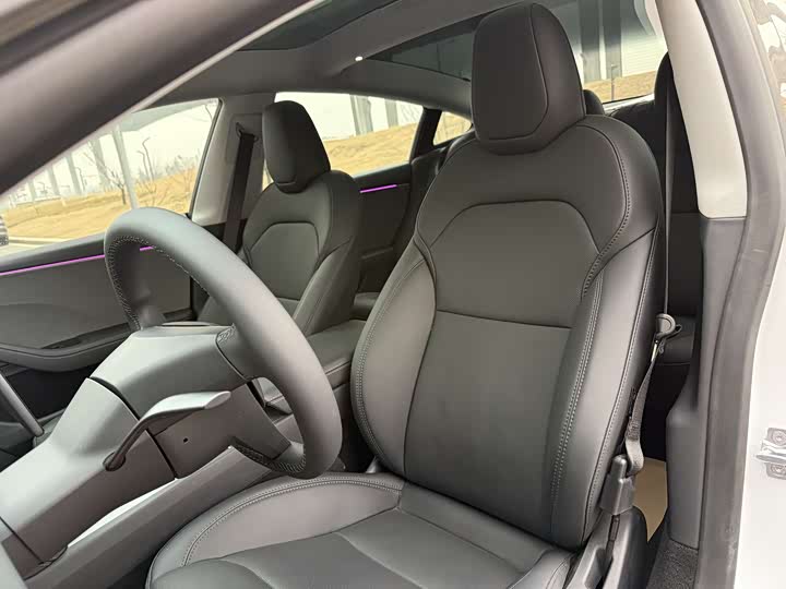 Tesla Model 3 2025 2025款 长续航后轮驱动版