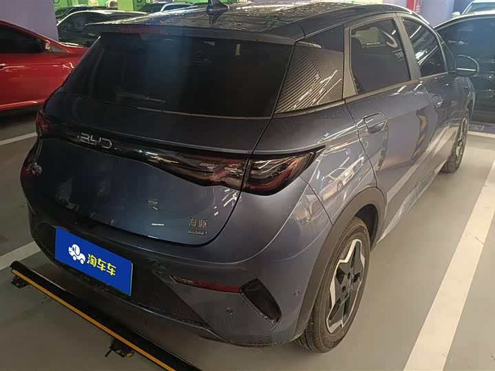 BYD Dolphin 2025 2025款 智驾版 420km 自由版