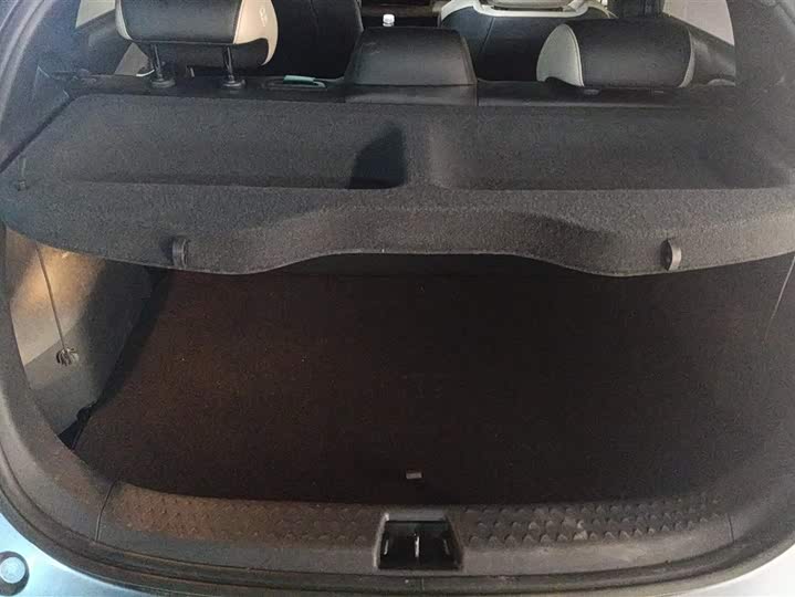 BYD Dolphin 2025 2025款 智驾版 420km 自由版