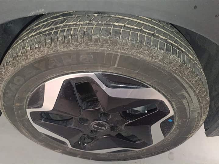 BYD Dolphin 2025 2025款 智驾版 420km 自由版