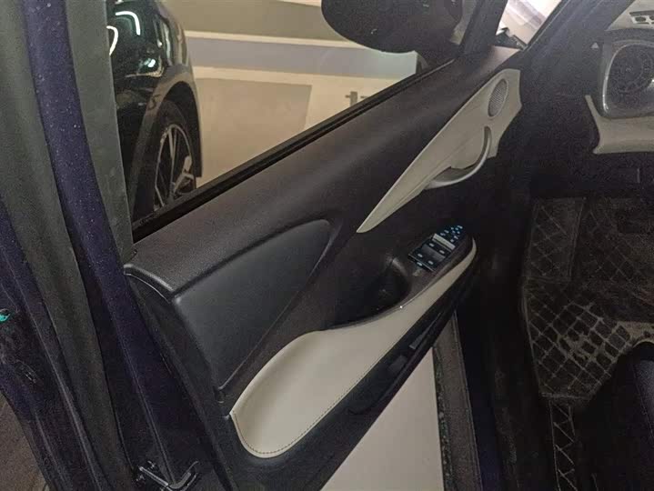 BYD Dolphin 2025 2025款 智驾版 420km 自由版