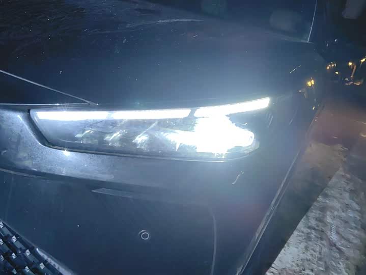 Hozon L 2024 2024款 增程 310 尊享版