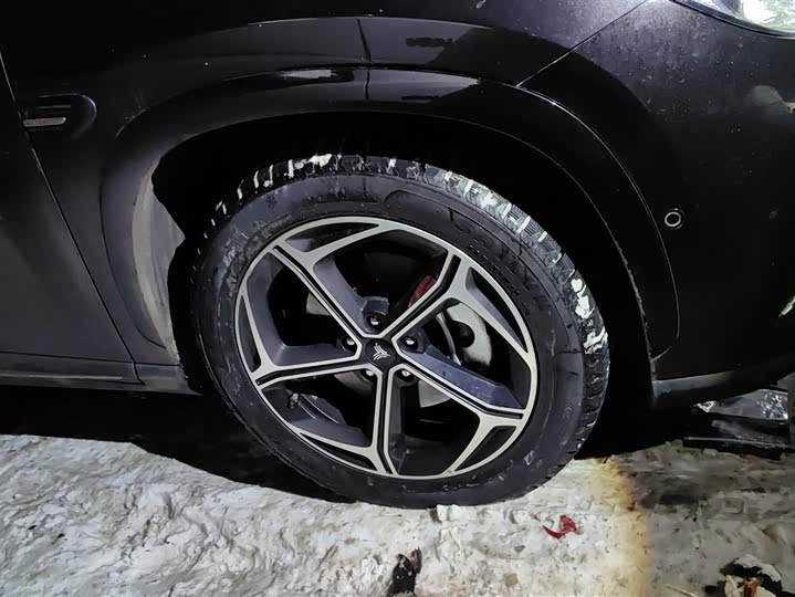 Hozon L 2024 2024款 增程 310 尊享版