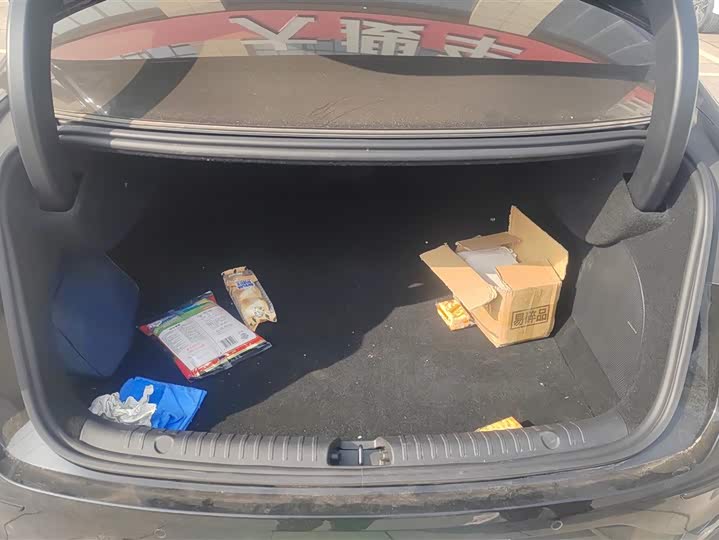 BYD Han 2025 2025款 DM-i 125KM尊贵型