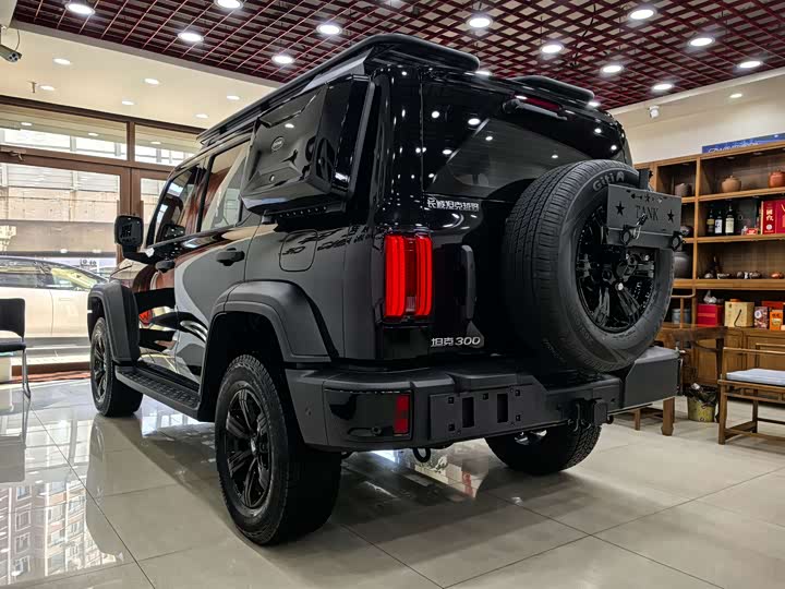 Tank 300 2025 2025款 2.0T 汽油征服者