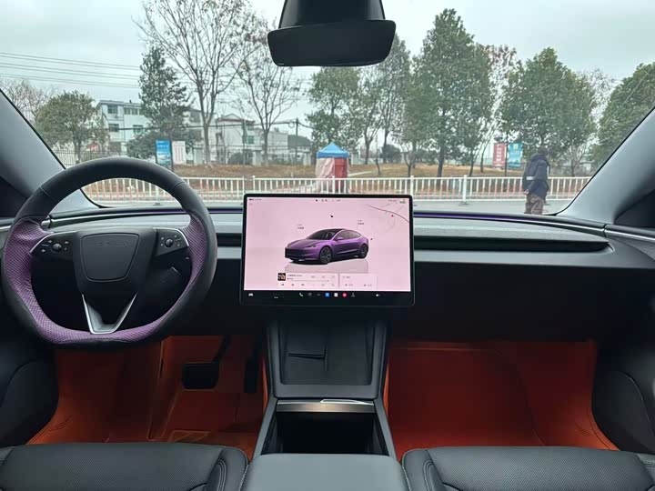 Tesla Model 3 2025 2025款 后轮驱动版
