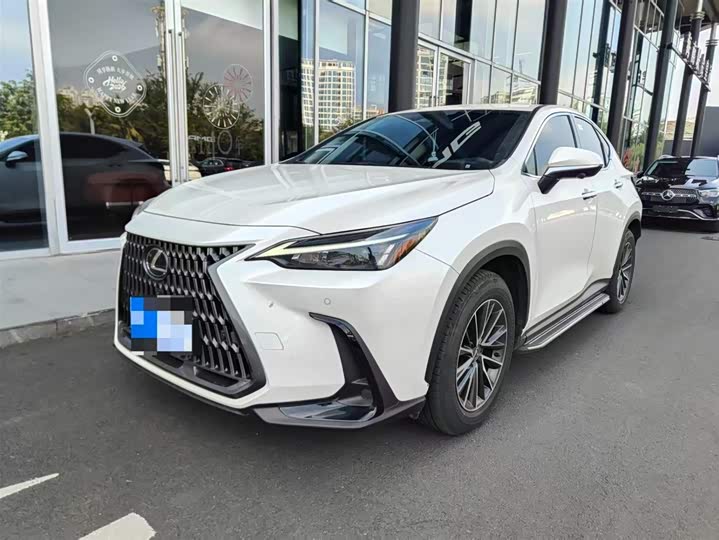 Lexus NX 2024 2024款 350h 前驱 创驰版