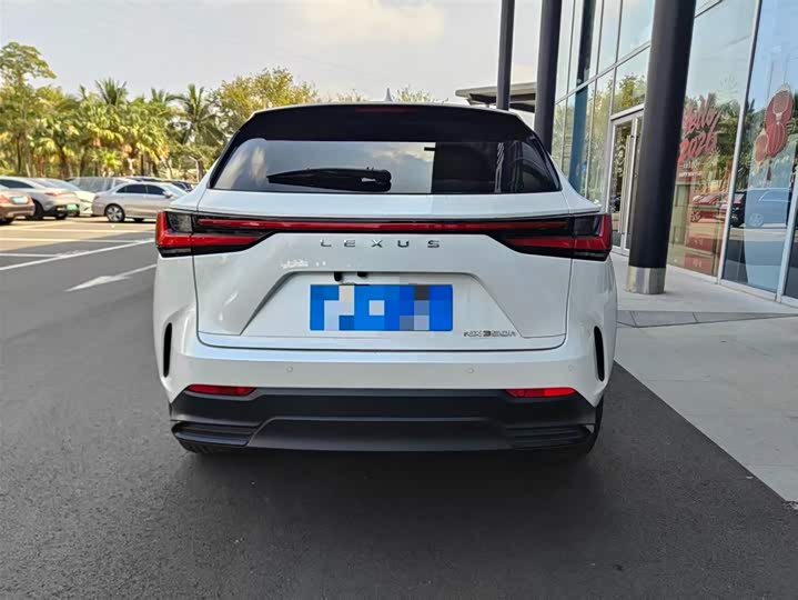 Lexus NX 2024 2024款 350h 前驱 创驰版