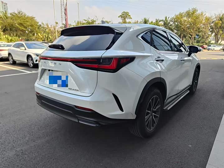 Lexus NX 2024 2024款 350h 前驱 创驰版