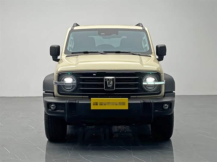 Tank 300 2025 2025款 2.4T 柴油版