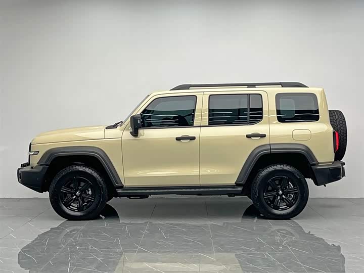 Tank 300 2025 2025款 2.4T 柴油版