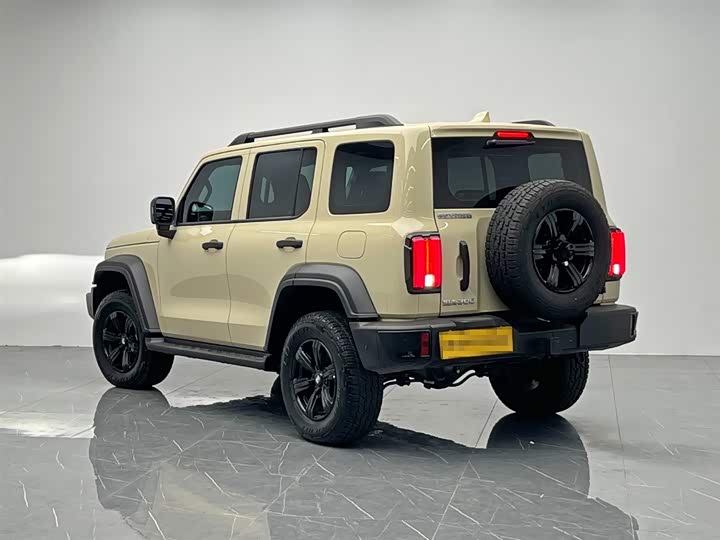 Tank 300 2025 2025款 2.4T 柴油版