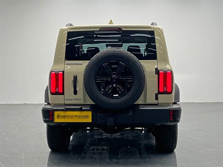 Tank 300 2025 2025款 2.4T 柴油版