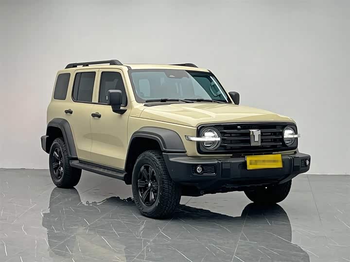 Tank 300 2025 2025款 2.4T 柴油版